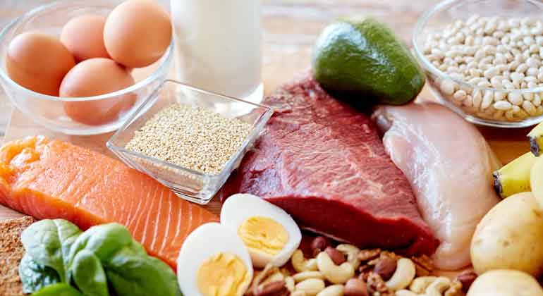 protein menurunkan berat badan